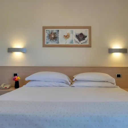 Park Hotel 4*