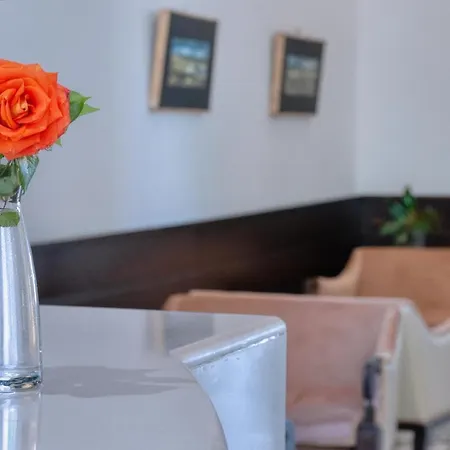 Park Hotel 4*